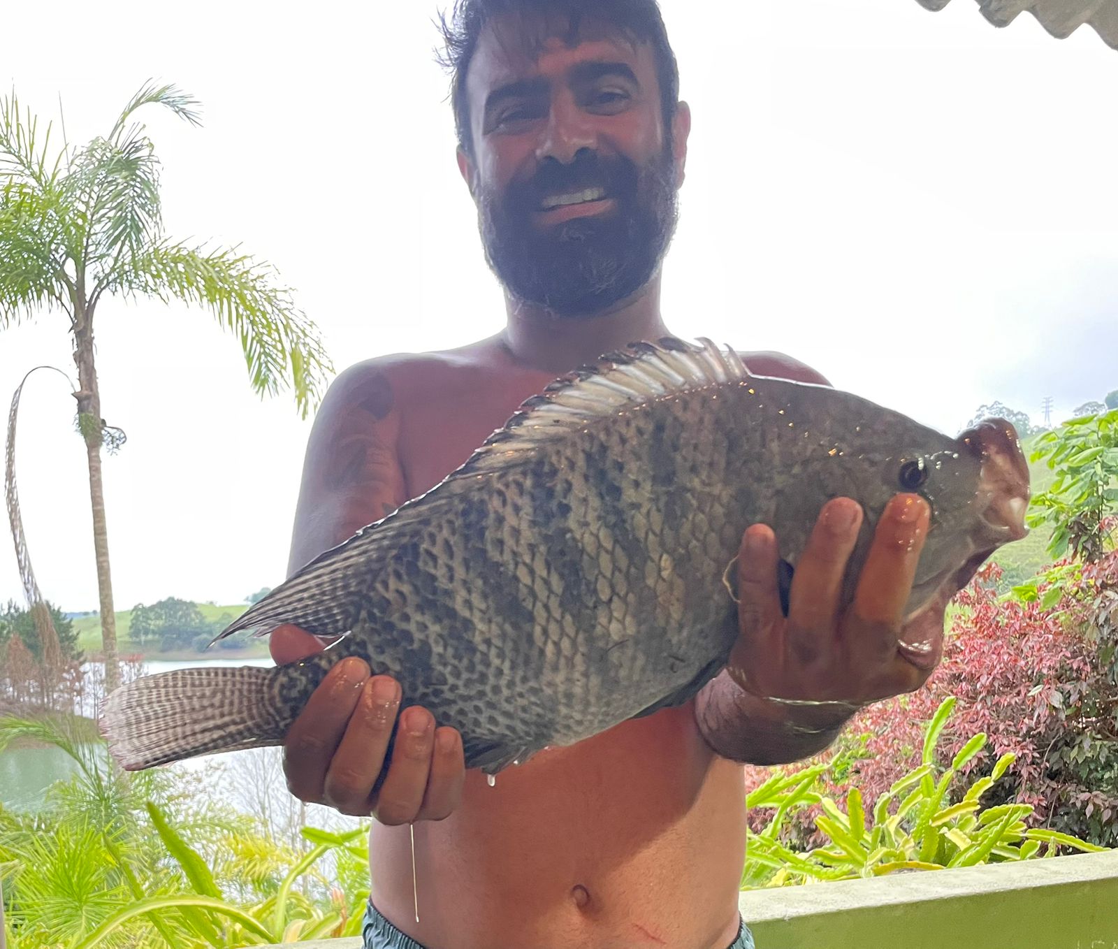 Pesca de Tilápia o grande desafio dos praticantes da arte da Pesca.