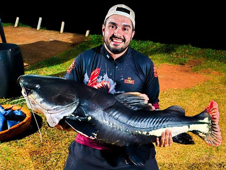 Quem já fisgou uma Pirarara sabe o que é briga