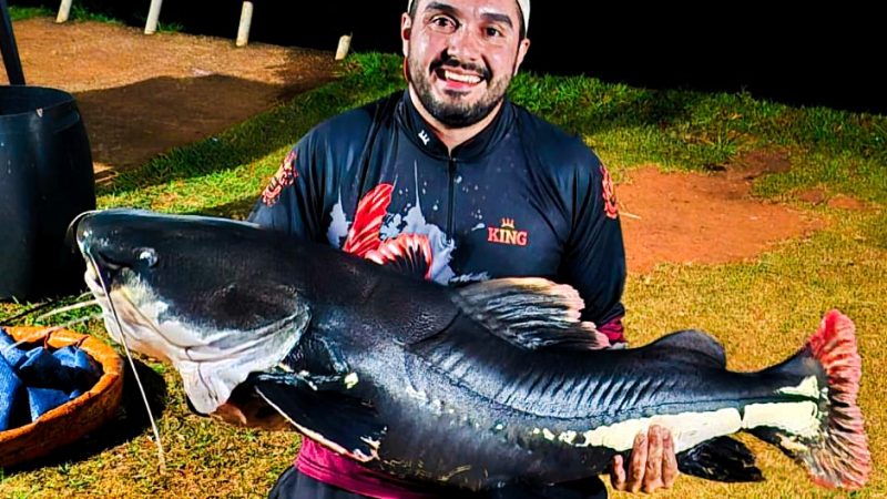 Quem já fisgou uma Pirarara sabe o que é briga