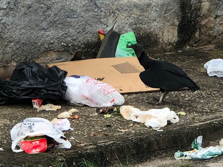 Altos do Vila Paiva largado aos Urubus