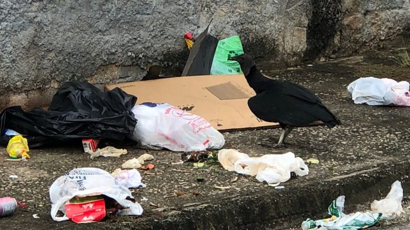 Altos do Vila Paiva largado aos Urubus