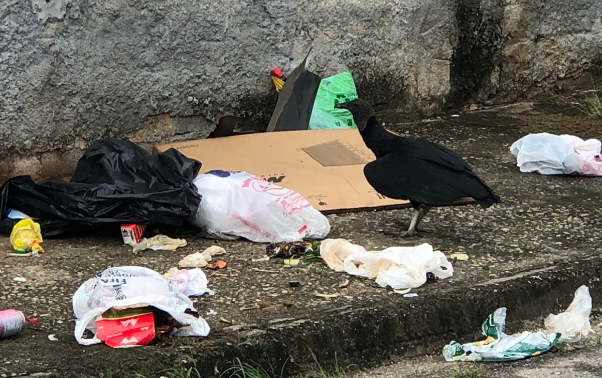 Altos do Vila Paiva largado aos Urubus